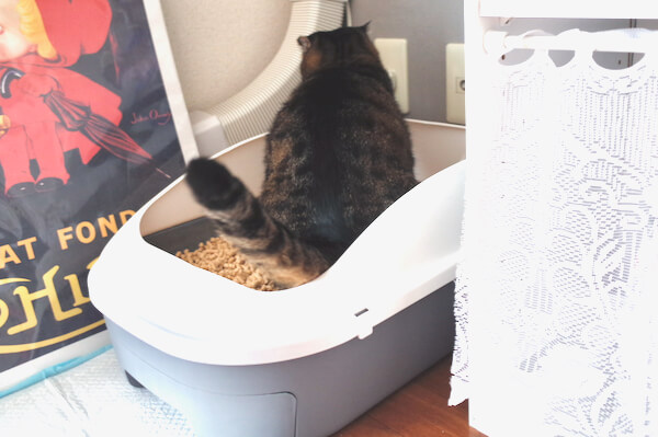 ペティオの猫用システムトイレを初使用