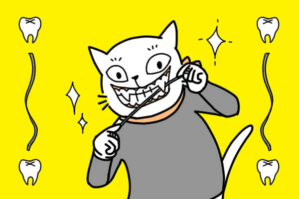 糸巻きフロス使い比べ