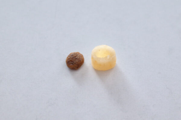 パクッとおくすりと猫用ドライフードのサイズ比較